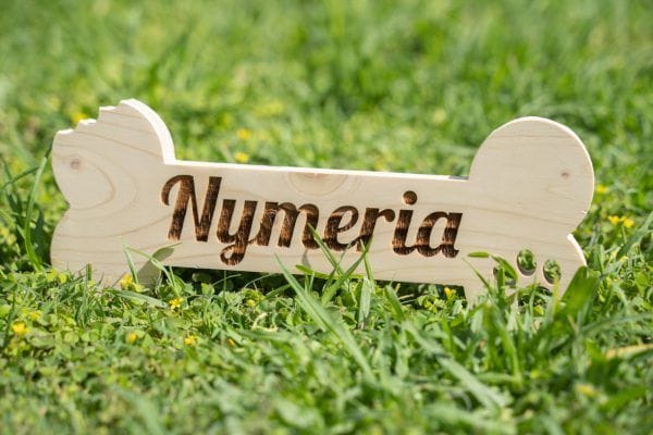 Hueso de madera | Laletreria.es